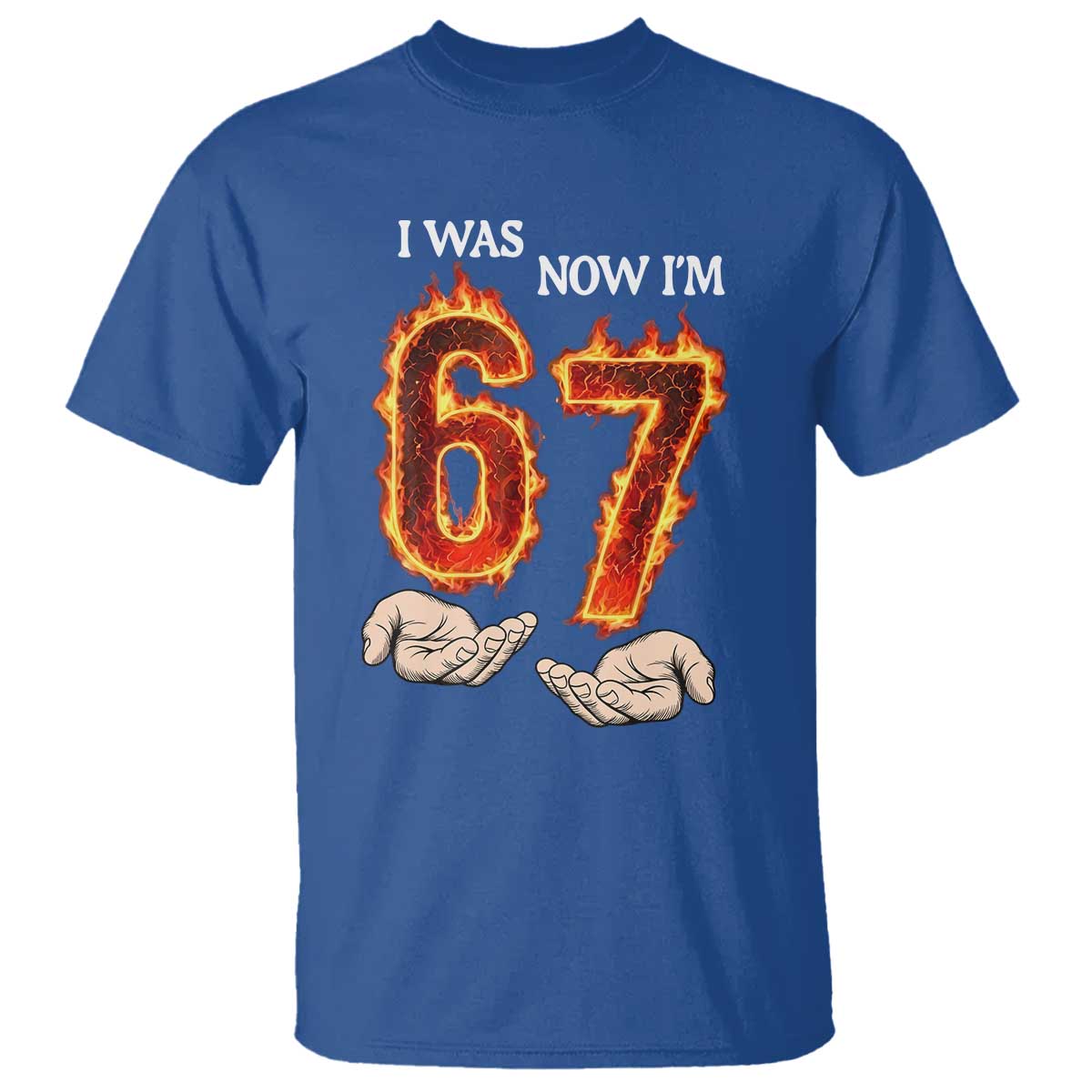 I Was 6 Now I'm 7 Birthday T Shirt Funny Six Seven Meme 67 Flame