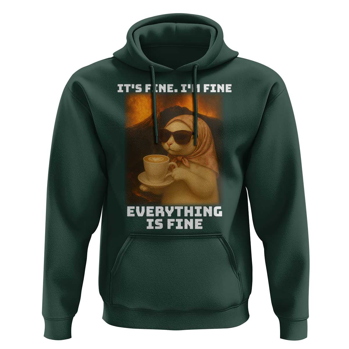 Funny Cat Meme Hoodie It Is Fine I Am Fine Every Thing Is Fine - Wonder Print Shop
