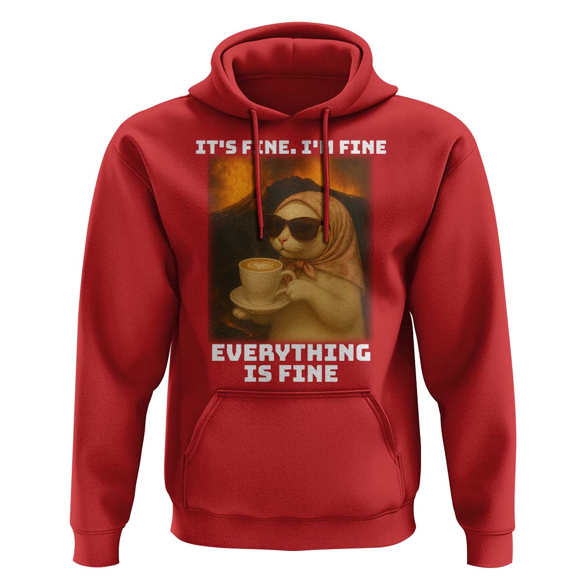 Funny Cat Meme Hoodie It Is Fine I Am Fine Every Thing Is Fine - Wonder Print Shop
