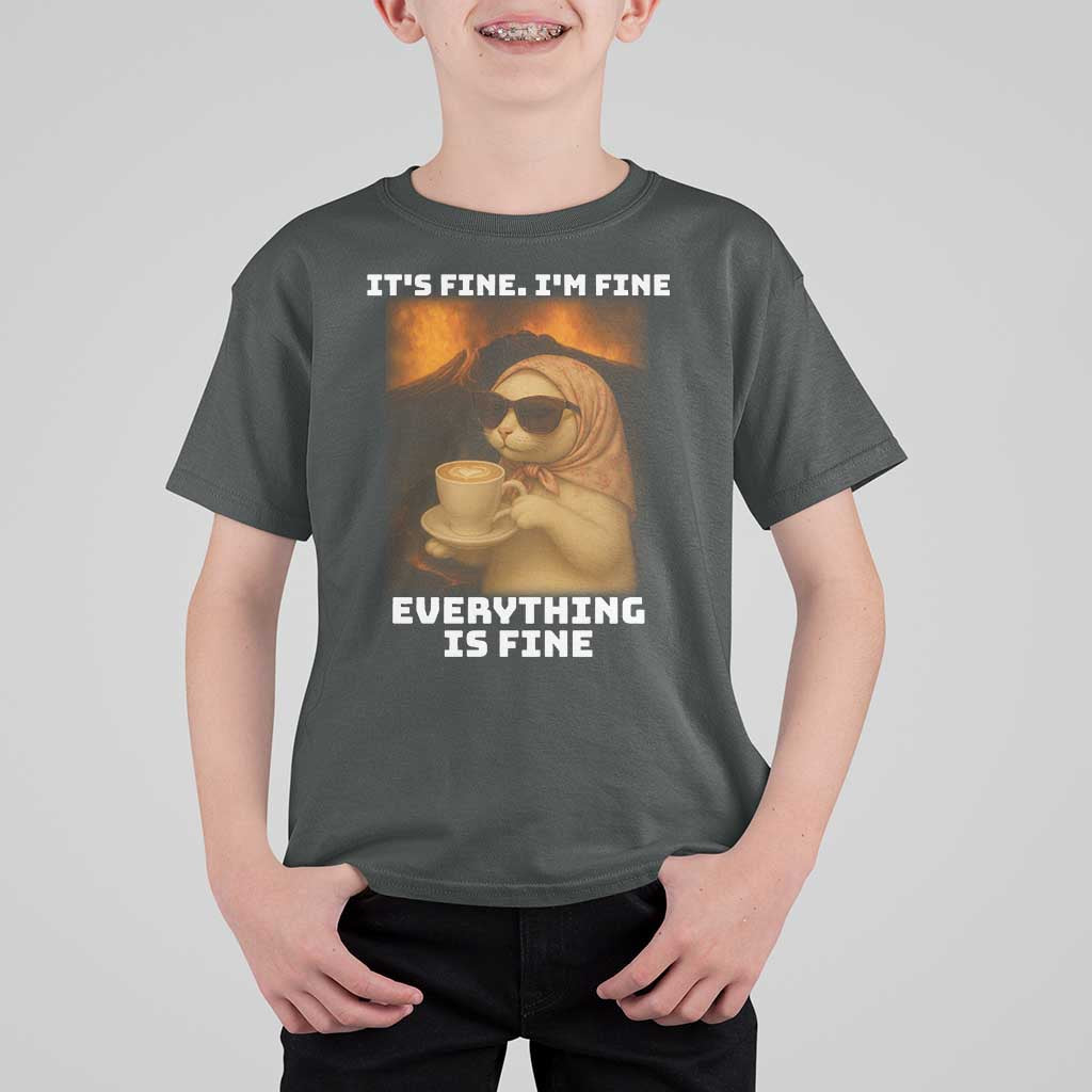Funny Cat Meme T Shirt For Kid It Is Fine I Am Fine Every Thing Is Fine - Wonder Print Shop