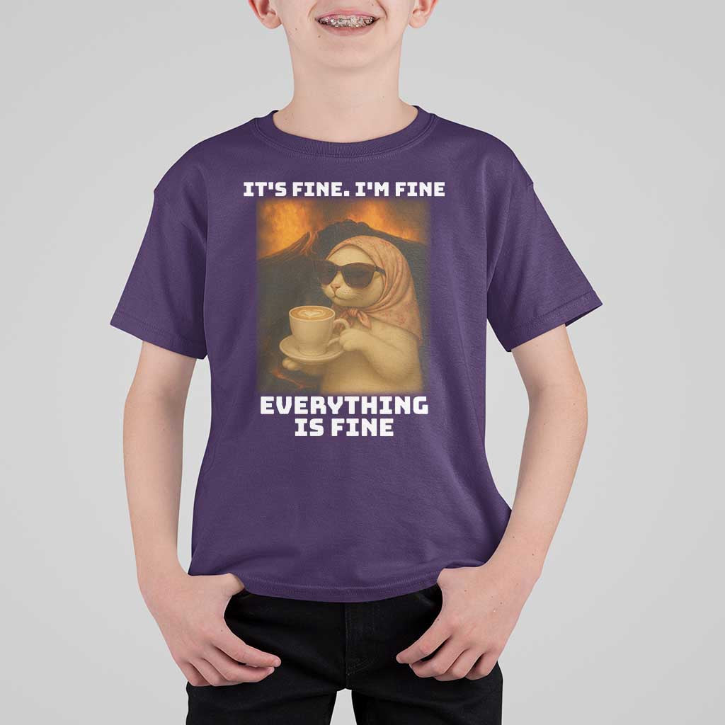 Funny Cat Meme T Shirt For Kid It Is Fine I Am Fine Every Thing Is Fine - Wonder Print Shop
