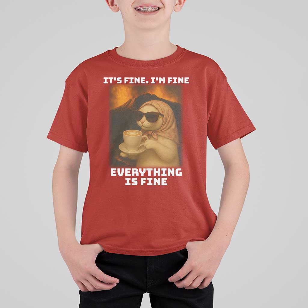 Funny Cat Meme T Shirt For Kid It Is Fine I Am Fine Every Thing Is Fine - Wonder Print Shop