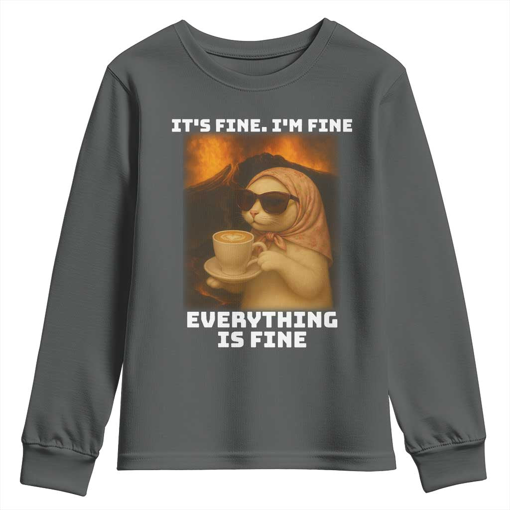 Funny Cat Meme Youth Sweatshirt It Is Fine I Am Fine Every Thing Is Fine - Wonder Print Shop