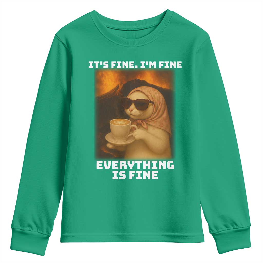 Funny Cat Meme Youth Sweatshirt It Is Fine I Am Fine Every Thing Is Fine - Wonder Print Shop