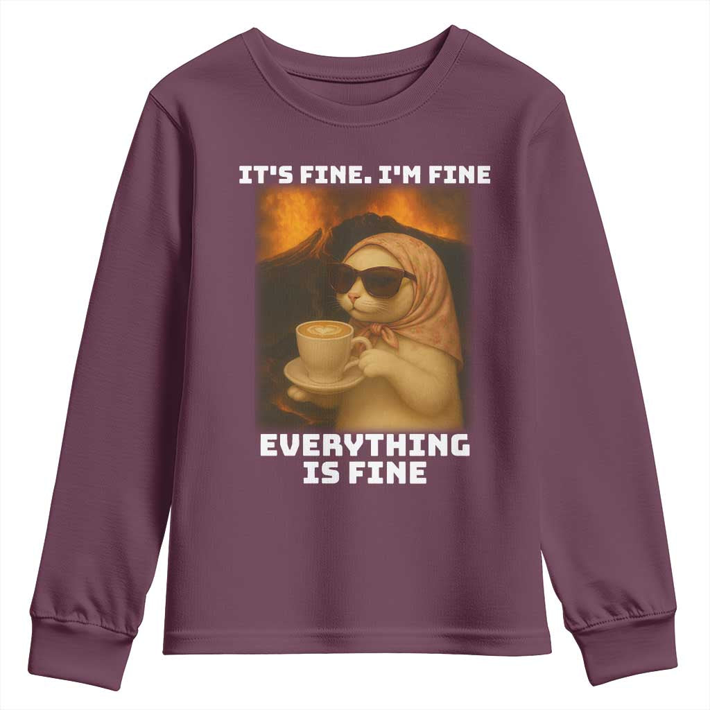 Funny Cat Meme Youth Sweatshirt It Is Fine I Am Fine Every Thing Is Fine - Wonder Print Shop
