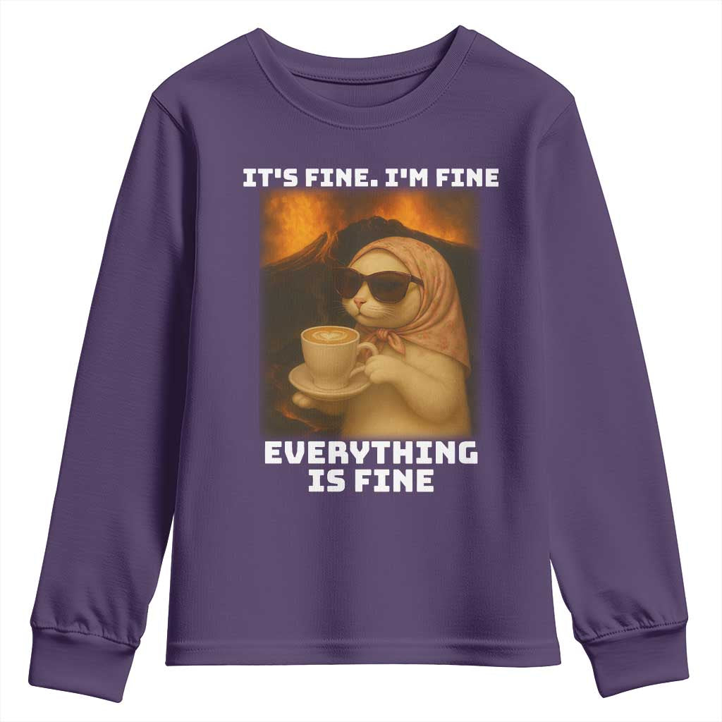 Funny Cat Meme Youth Sweatshirt It Is Fine I Am Fine Every Thing Is Fine - Wonder Print Shop