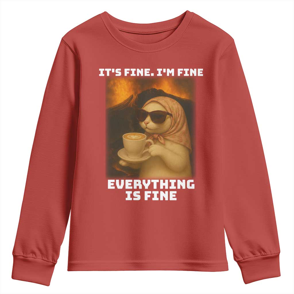 Funny Cat Meme Youth Sweatshirt It Is Fine I Am Fine Every Thing Is Fine - Wonder Print Shop