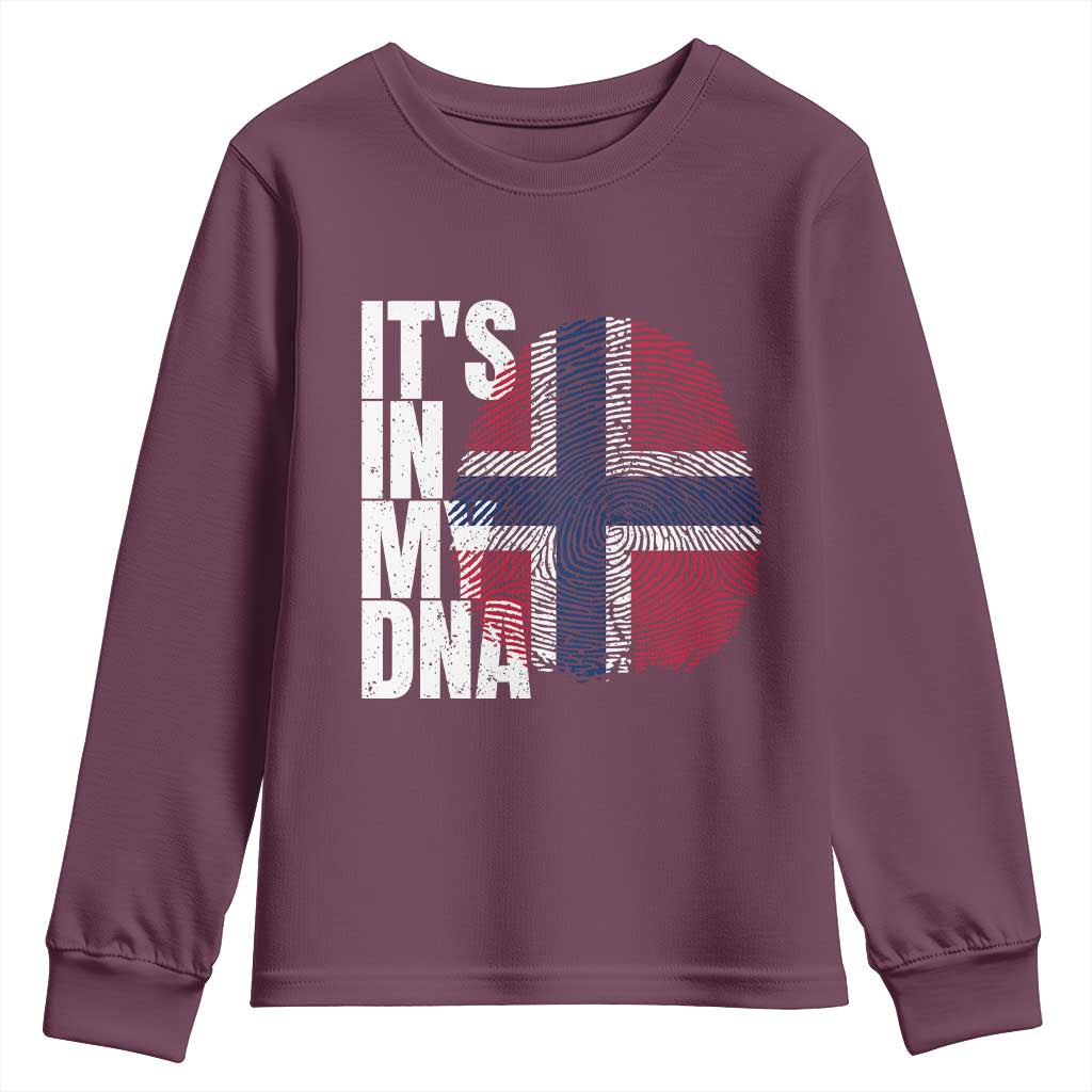 It's in My DNA Norway Norwegian Flag Pride Youth Sweatshirt