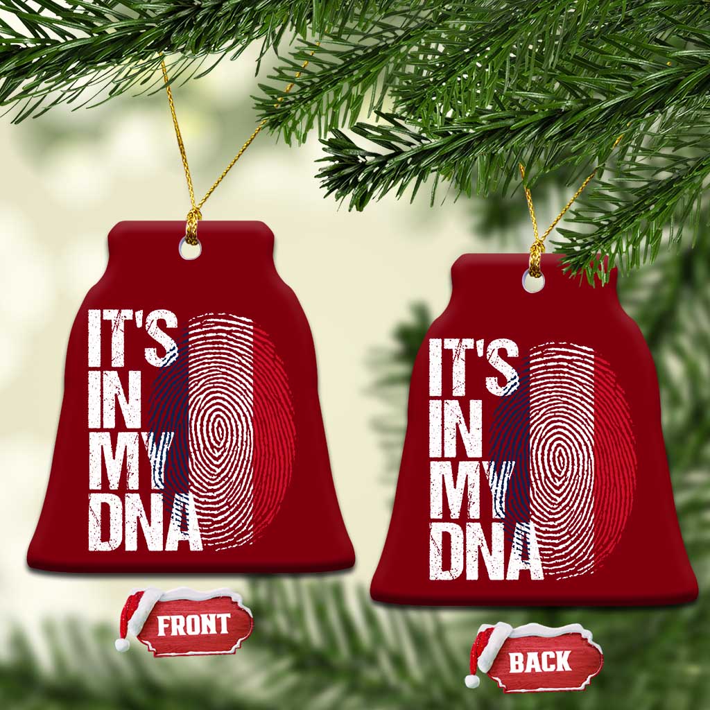It's in My DNA France French Flag Ceramic Ornament