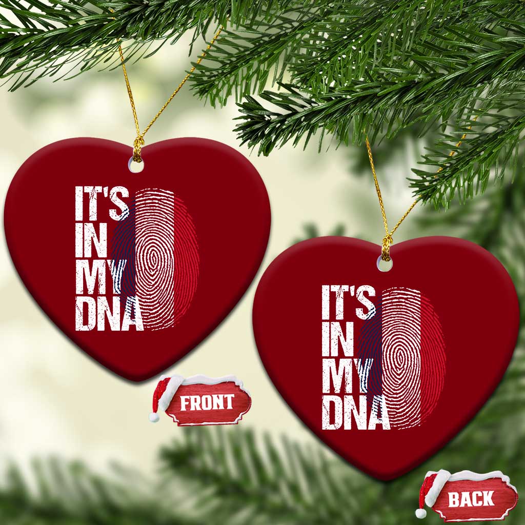 It's in My DNA France French Flag Ceramic Ornament