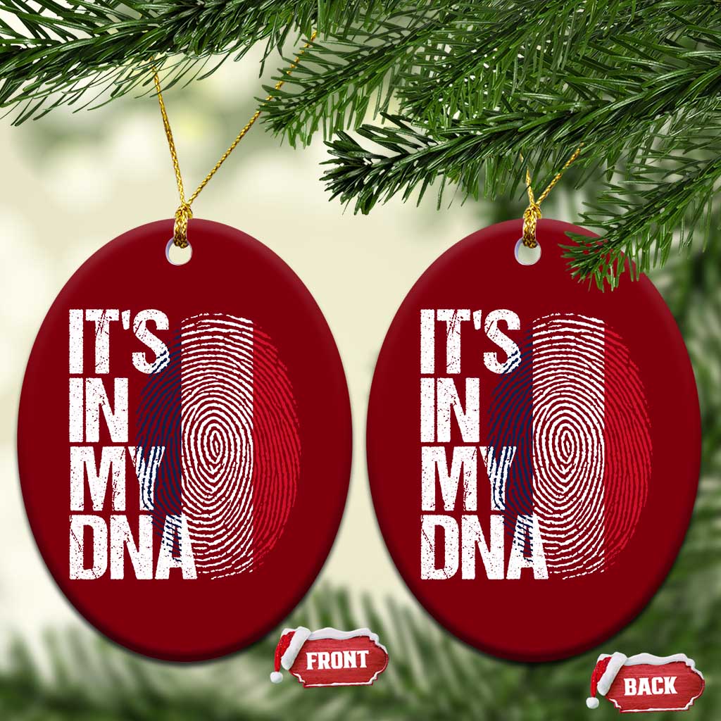 It's in My DNA France French Flag Ceramic Ornament