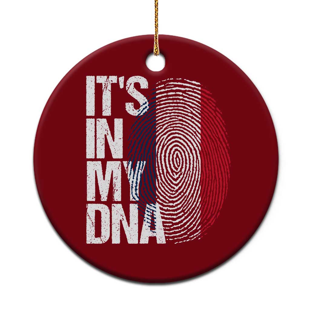 It's in My DNA France French Flag Ceramic Ornament