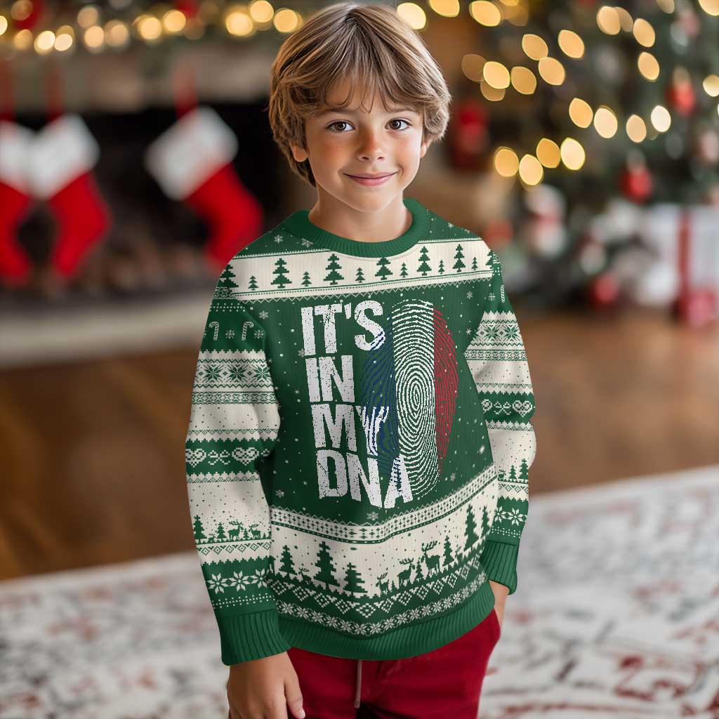 It's in My DNA France French Flag Ugly Christmas Sweater