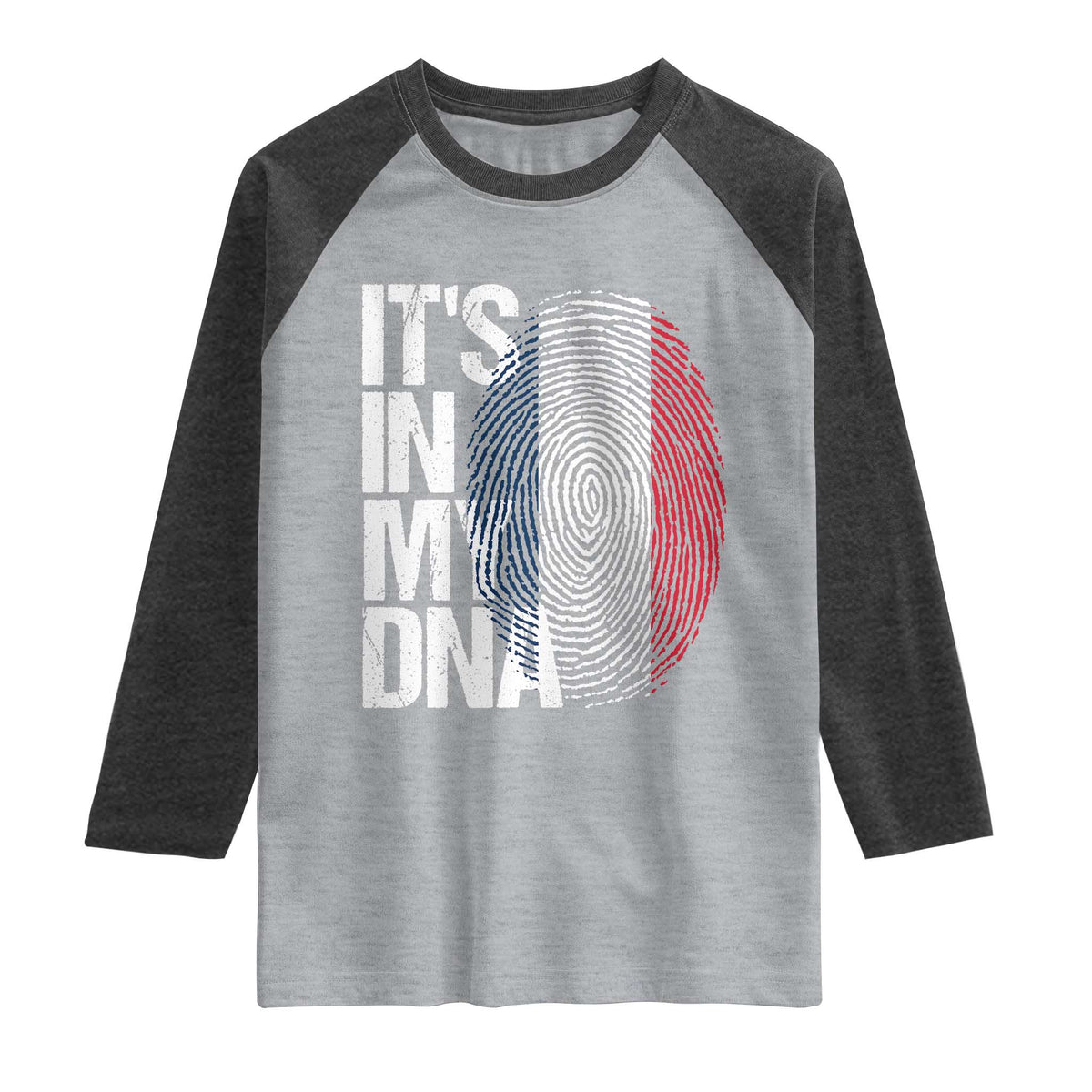 It's in My DNA France French Flag Raglan Shirt
