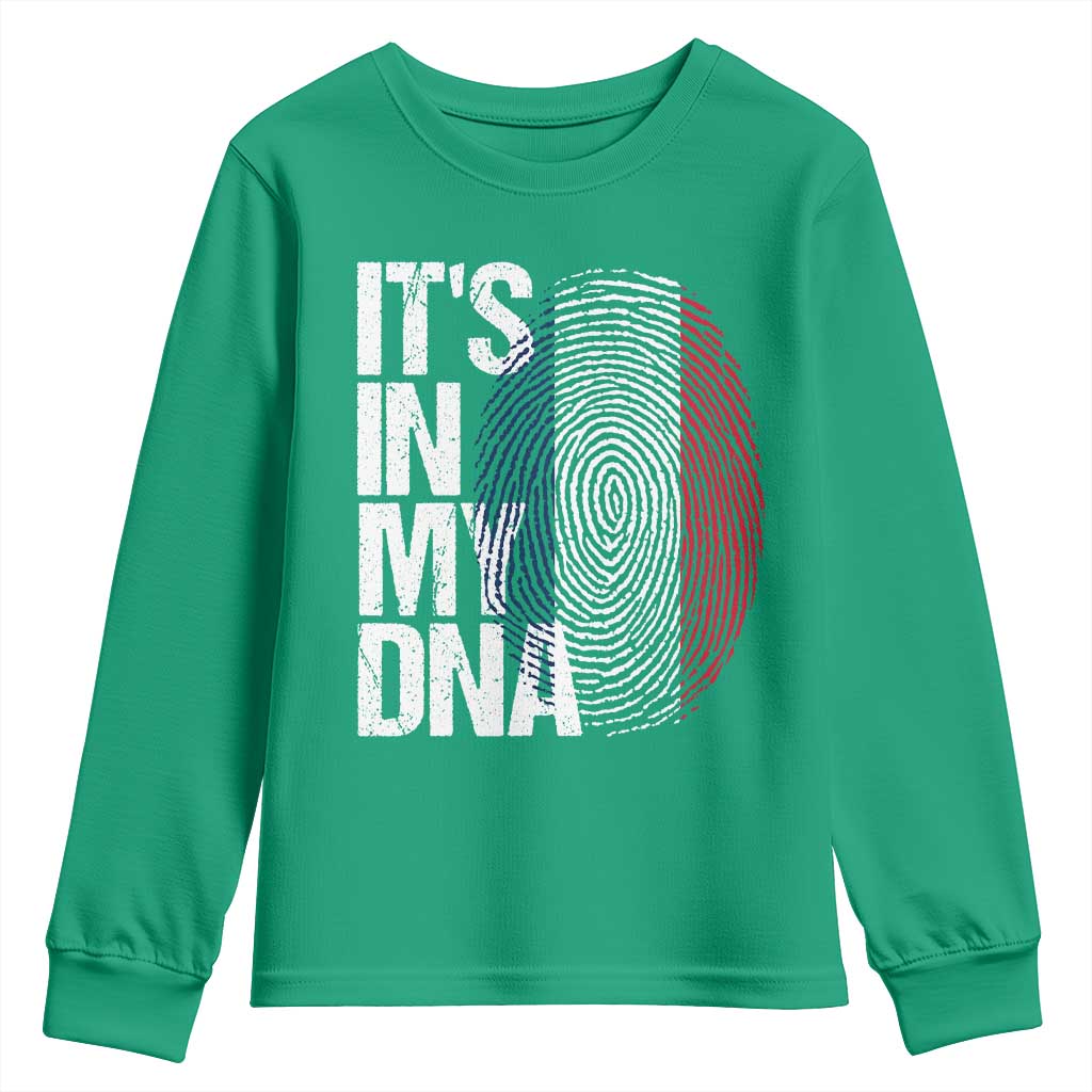 It's in My DNA France French Flag Youth Sweatshirt