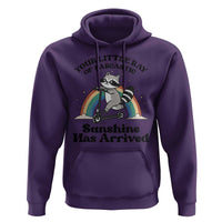 Funny Raccoon Rainbow Hoodie Your Little Ray Of Sarcastic Sunshine Has Arrived - Wonder Print Shop