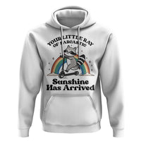 Funny Raccoon Rainbow Hoodie Your Little Ray Of Sarcastic Sunshine Has Arrived - Wonder Print Shop