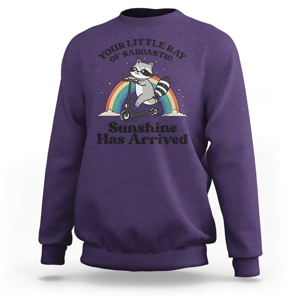 Funny Raccoon Rainbow Sweatshirt Your Little Ray Of Sarcastic Sunshine Has Arrived - Wonder Print Shop