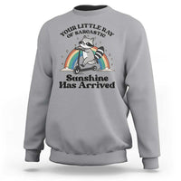 Funny Raccoon Rainbow Sweatshirt Your Little Ray Of Sarcastic Sunshine Has Arrived - Wonder Print Shop