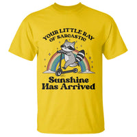 Funny Raccoon Rainbow T Shirt Your Little Ray Of Sarcastic Sunshine Has Arrived - Wonder Print Shop