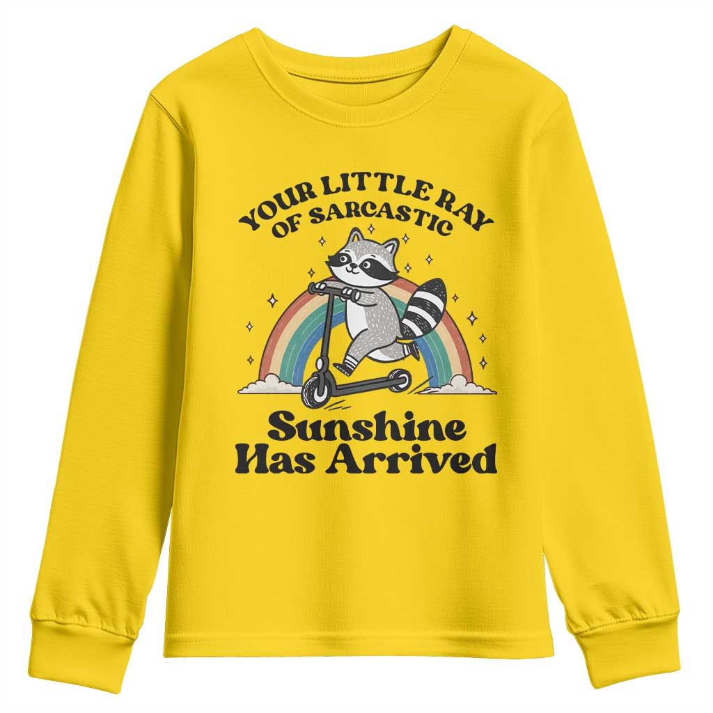 Funny Raccoon Rainbow Youth Sweatshirt Your Little Ray Of Sarcastic Sunshine Has Arrived - Wonder Print Shop