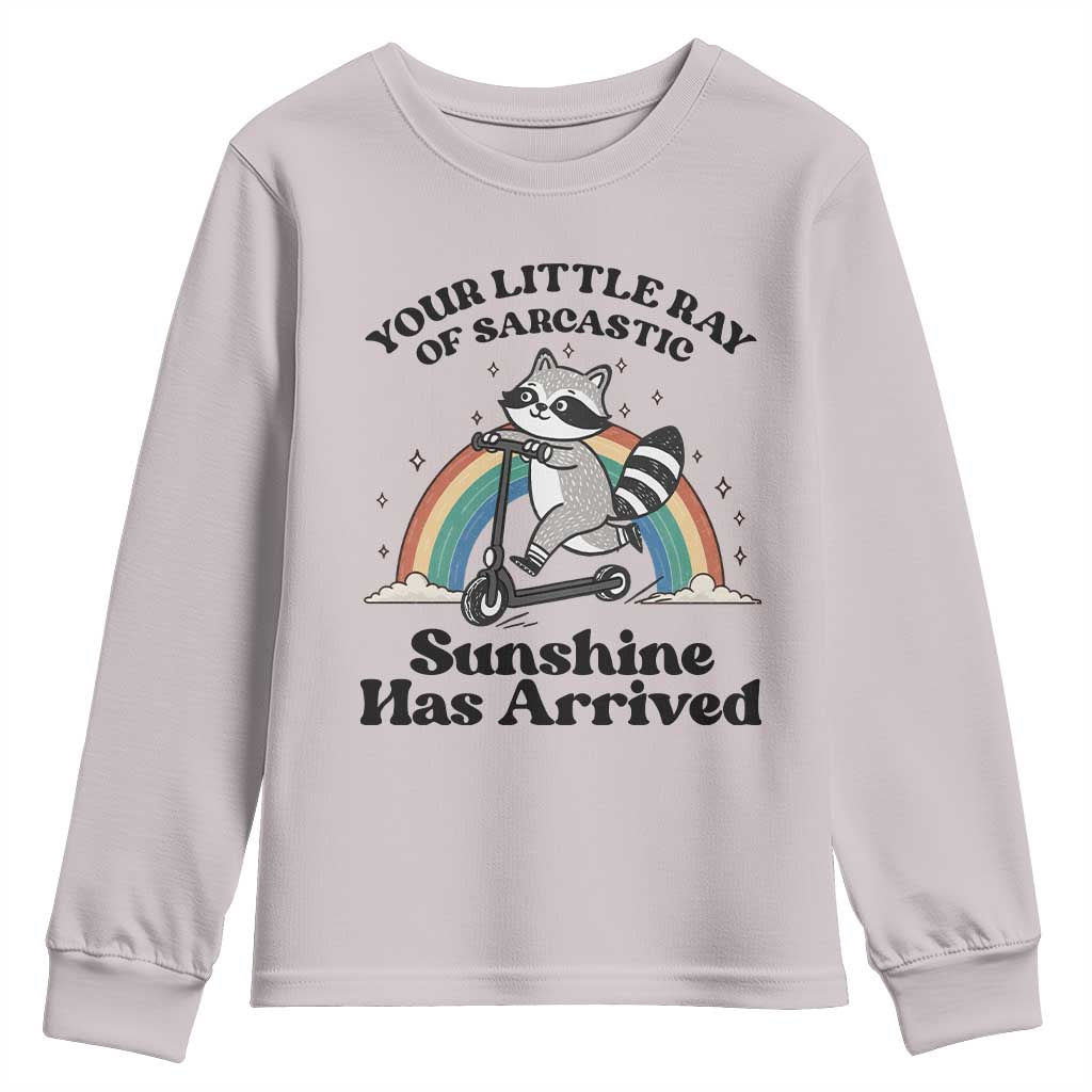 Funny Raccoon Rainbow Youth Sweatshirt Your Little Ray Of Sarcastic Sunshine Has Arrived - Wonder Print Shop