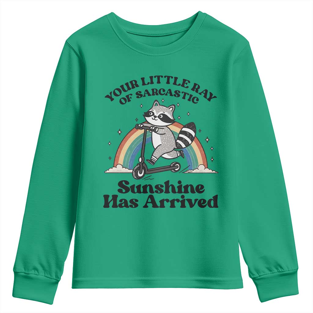 Funny Raccoon Rainbow Youth Sweatshirt Your Little Ray Of Sarcastic Sunshine Has Arrived - Wonder Print Shop