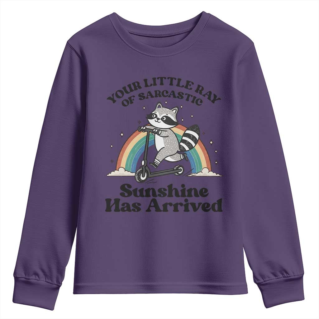 Funny Raccoon Rainbow Youth Sweatshirt Your Little Ray Of Sarcastic Sunshine Has Arrived - Wonder Print Shop