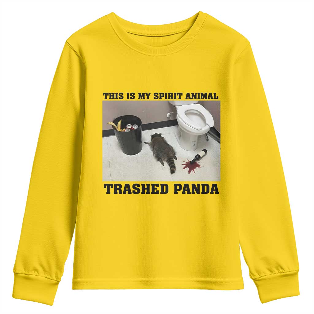 Trashed Panda Youth Sweatshirt My Spirit Animal Funny Drunk Raccoon Meme - Wonder Print Shop