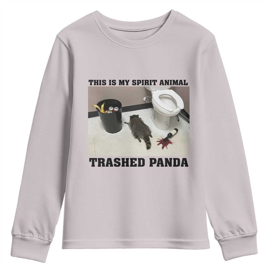Trashed Panda Youth Sweatshirt My Spirit Animal Funny Drunk Raccoon Meme - Wonder Print Shop