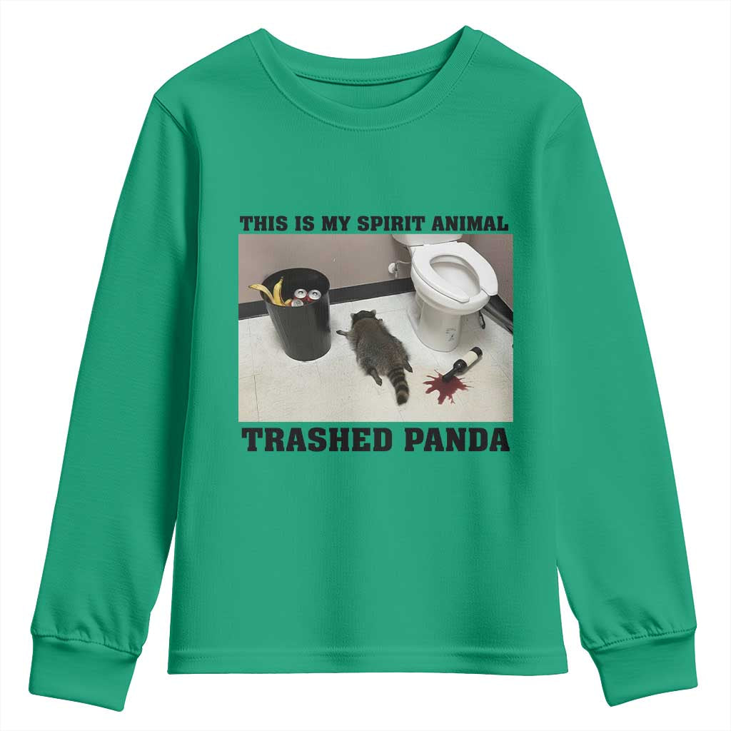 Trashed Panda Youth Sweatshirt My Spirit Animal Funny Drunk Raccoon Meme - Wonder Print Shop
