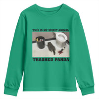 Trashed Panda Youth Sweatshirt My Spirit Animal Funny Drunk Raccoon Meme - Wonder Print Shop