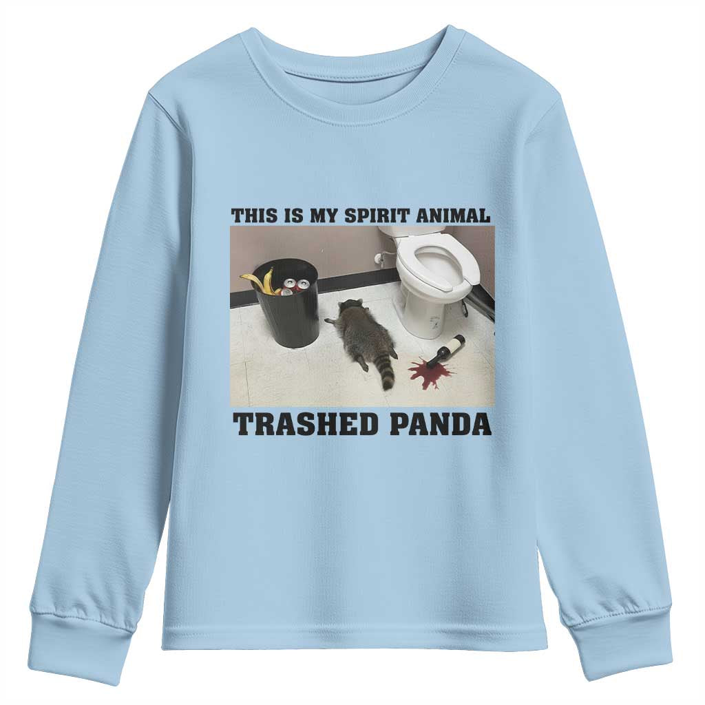 Trashed Panda Youth Sweatshirt My Spirit Animal Funny Drunk Raccoon Meme - Wonder Print Shop
