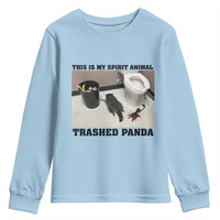 Trashed Panda Youth Sweatshirt My Spirit Animal Funny Drunk Raccoon Meme - Wonder Print Shop
