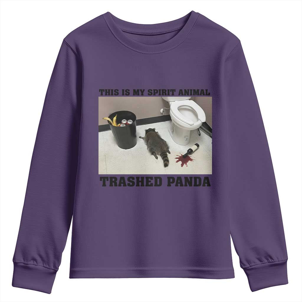 Trashed Panda Youth Sweatshirt My Spirit Animal Funny Drunk Raccoon Meme - Wonder Print Shop