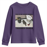 Trashed Panda Youth Sweatshirt My Spirit Animal Funny Drunk Raccoon Meme - Wonder Print Shop