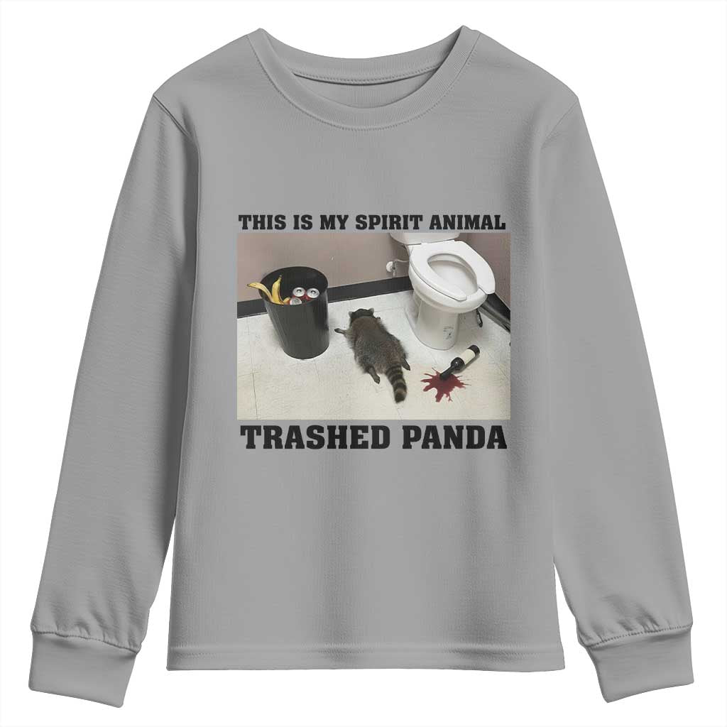 Trashed Panda Youth Sweatshirt My Spirit Animal Funny Drunk Raccoon Meme - Wonder Print Shop