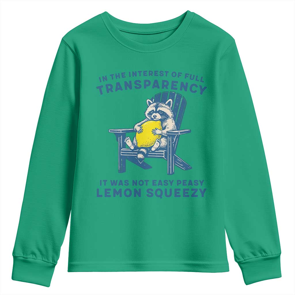 Funny Raccoon Youth Sweatshirt In The Interest Of Full Transparency It Was Not Easy Peasy Lemon Squeezy - Wonder Print Shop