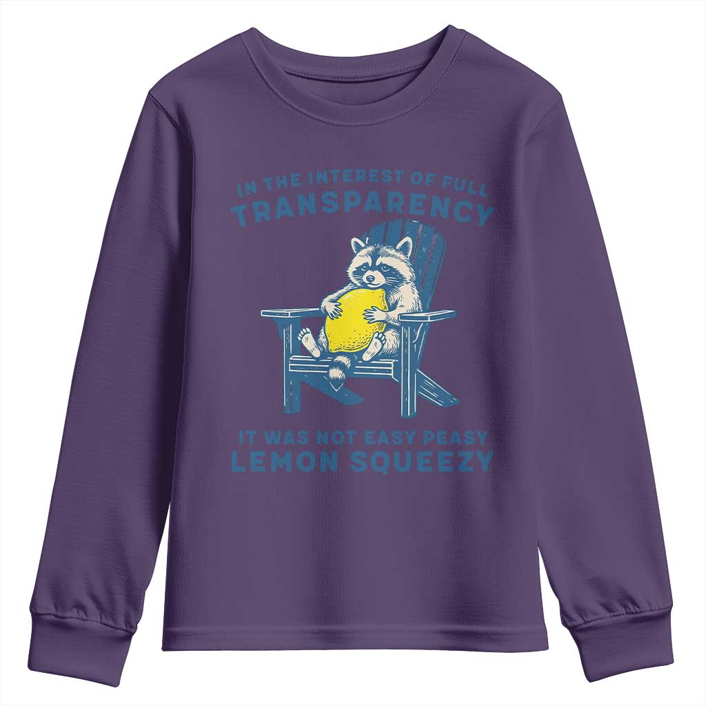 Funny Raccoon Youth Sweatshirt In The Interest Of Full Transparency It Was Not Easy Peasy Lemon Squeezy - Wonder Print Shop