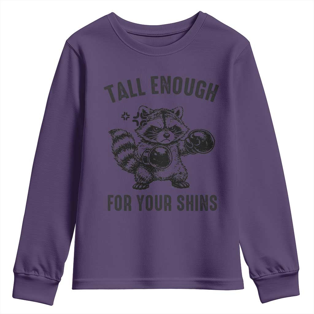 Tall Enough For Your Shins Youth Sweatshirt Funny Raccoon Boxing Meme