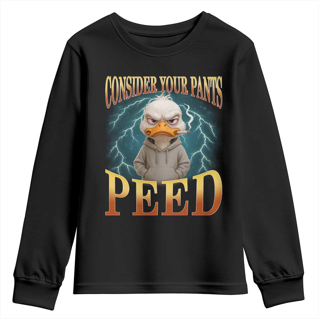 Funny Smoking Goose Meme Youth Sweatshirt Consider Your Pants Peed - Wonder Print Shop