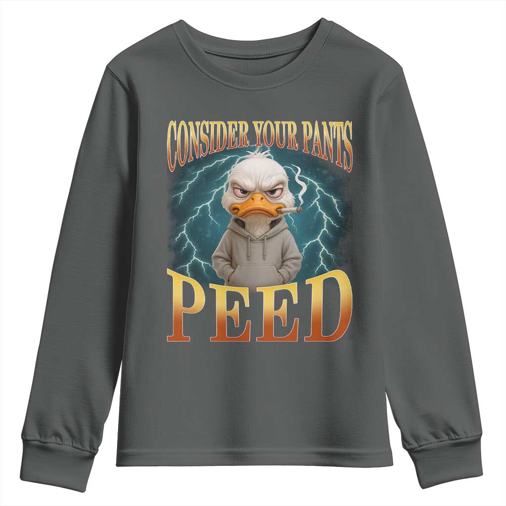 Funny Smoking Goose Meme Youth Sweatshirt Consider Your Pants Peed - Wonder Print Shop