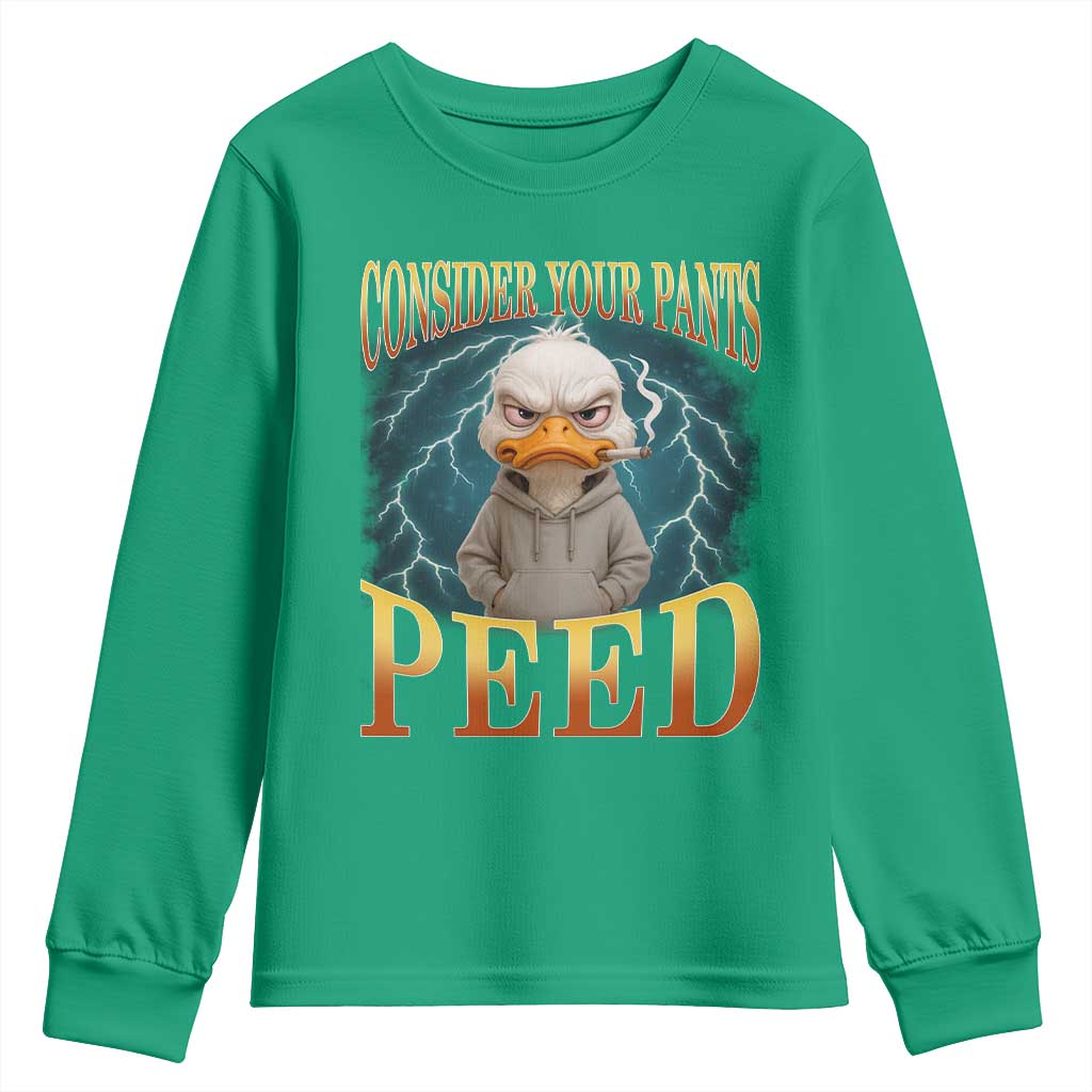 Funny Smoking Goose Meme Youth Sweatshirt Consider Your Pants Peed - Wonder Print Shop