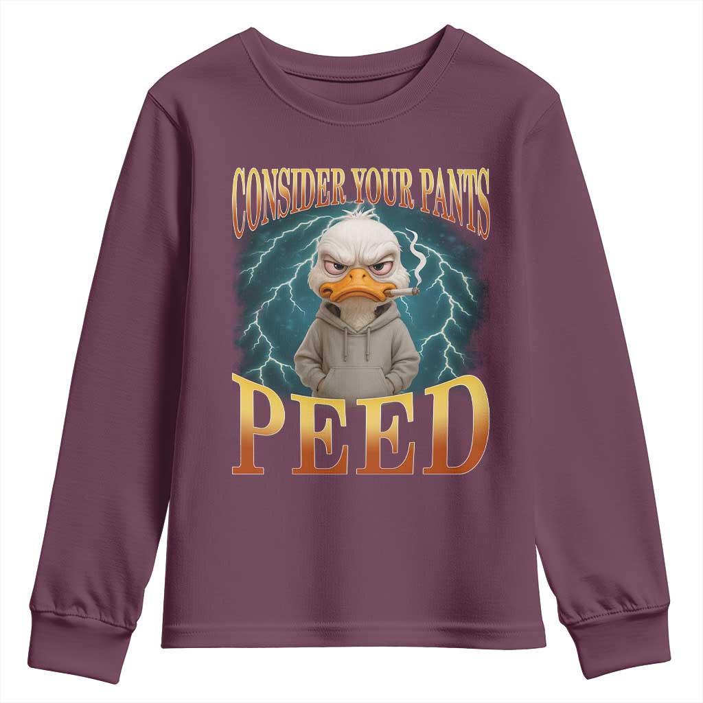 Funny Smoking Goose Meme Youth Sweatshirt Consider Your Pants Peed - Wonder Print Shop