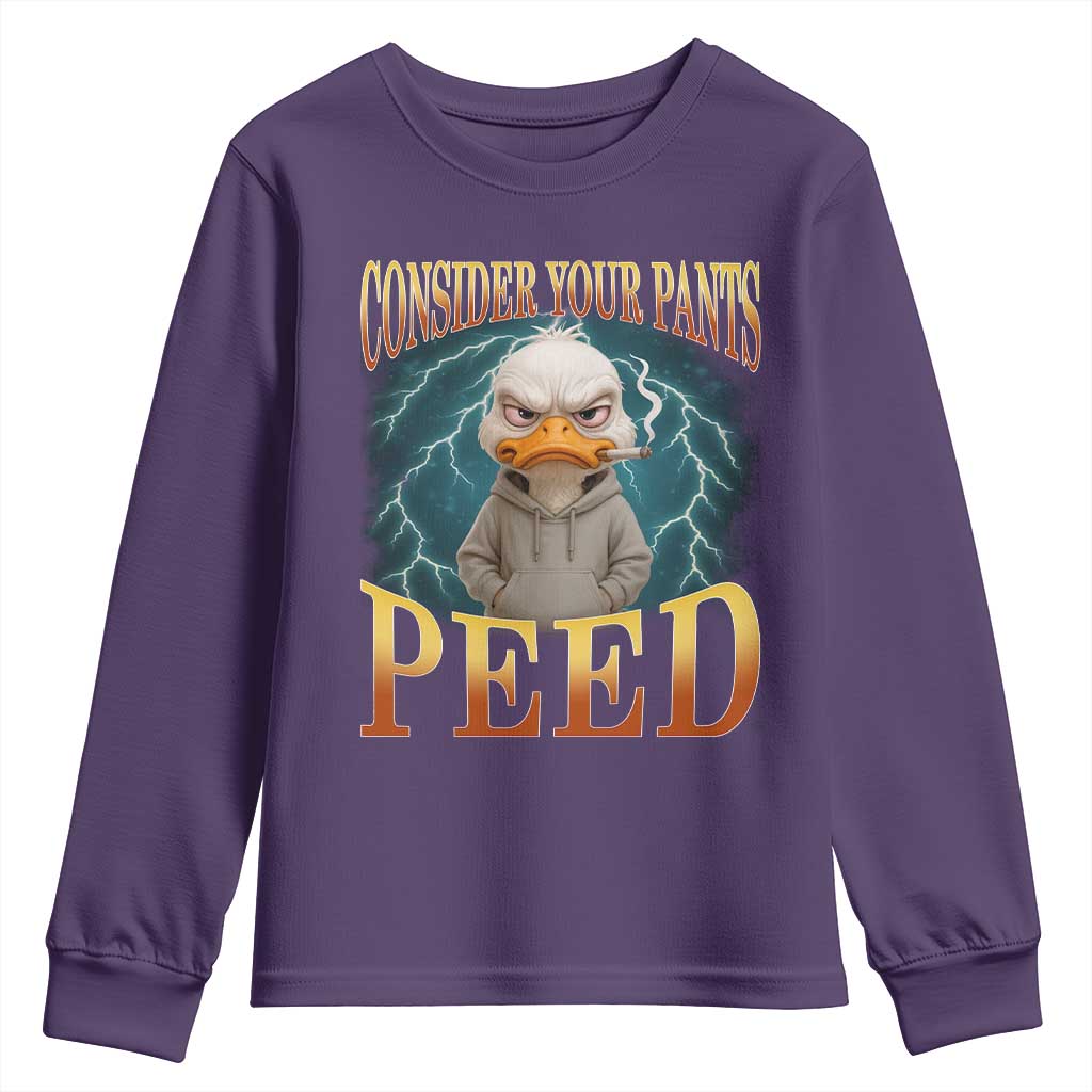 Funny Smoking Goose Meme Youth Sweatshirt Consider Your Pants Peed - Wonder Print Shop