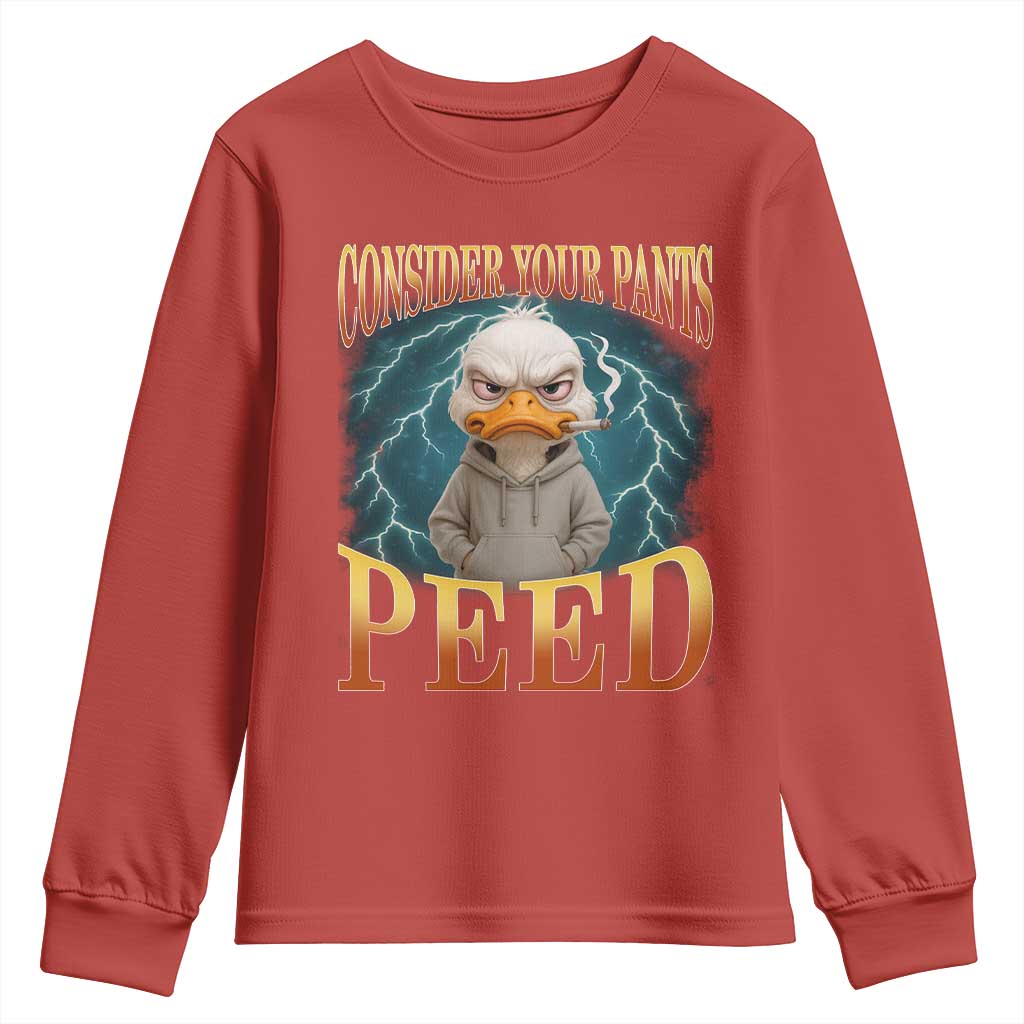 Funny Smoking Goose Meme Youth Sweatshirt Consider Your Pants Peed - Wonder Print Shop