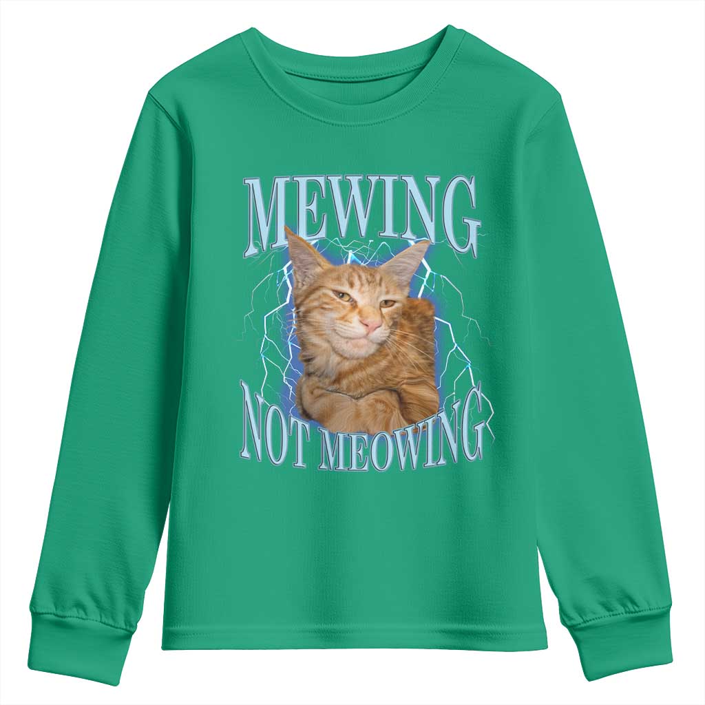 Mewing Not Meowing Youth Sweatshirt Funny Cat Meme - Wonder Print Shop