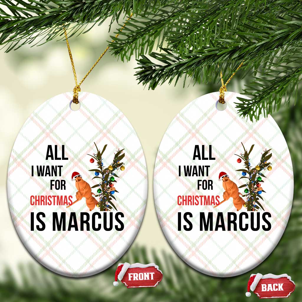 Marcus The Worm Robert Meme Ceramic Ornament All I Want For Christmas Is Marcus - Wonder Print Shop