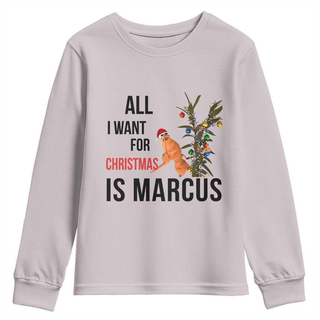 Marcus The Worm Robert Meme Youth Sweatshirt All I Want For Christmas Is Marcus - Wonder Print Shop