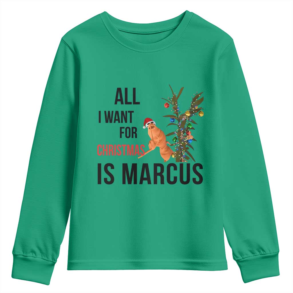 Marcus The Worm Robert Meme Youth Sweatshirt All I Want For Christmas Is Marcus - Wonder Print Shop